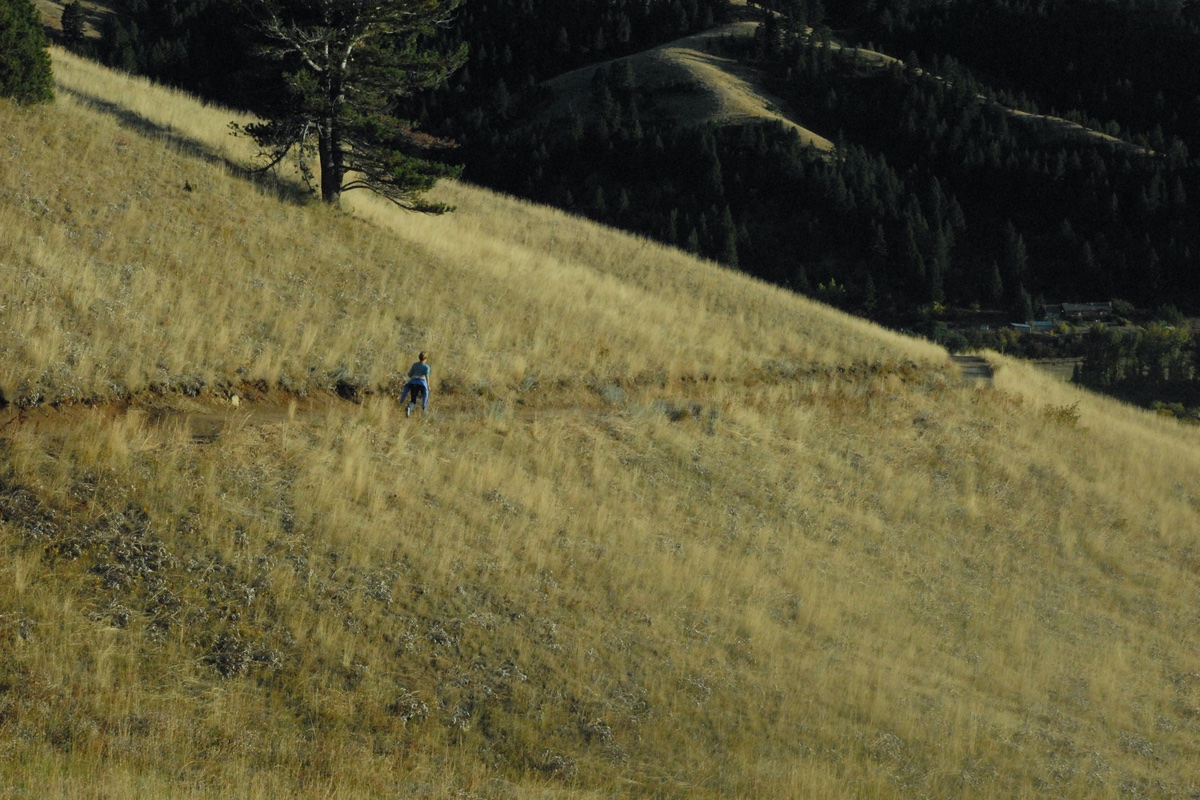 A female runner is running on a path in the mountains amidst a yellow-green meadow.